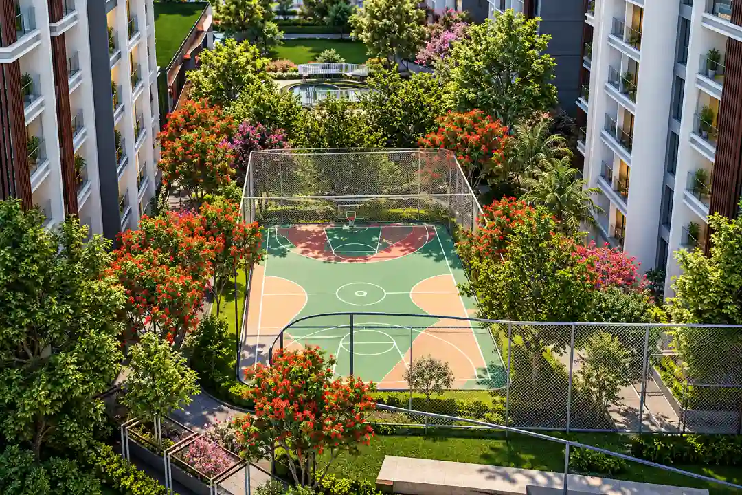 Basketball Court